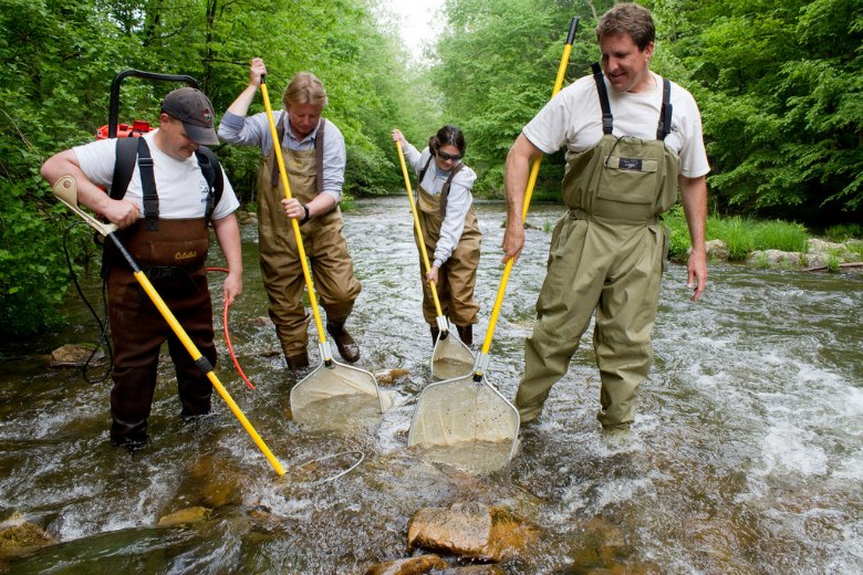 best fishing waders, chest