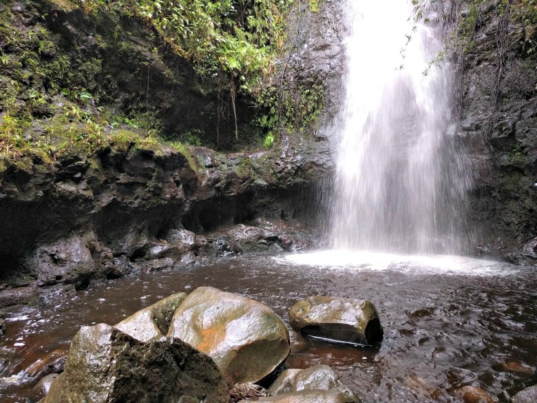 Ka'au Crater Hike required us to use the best hiking gloves