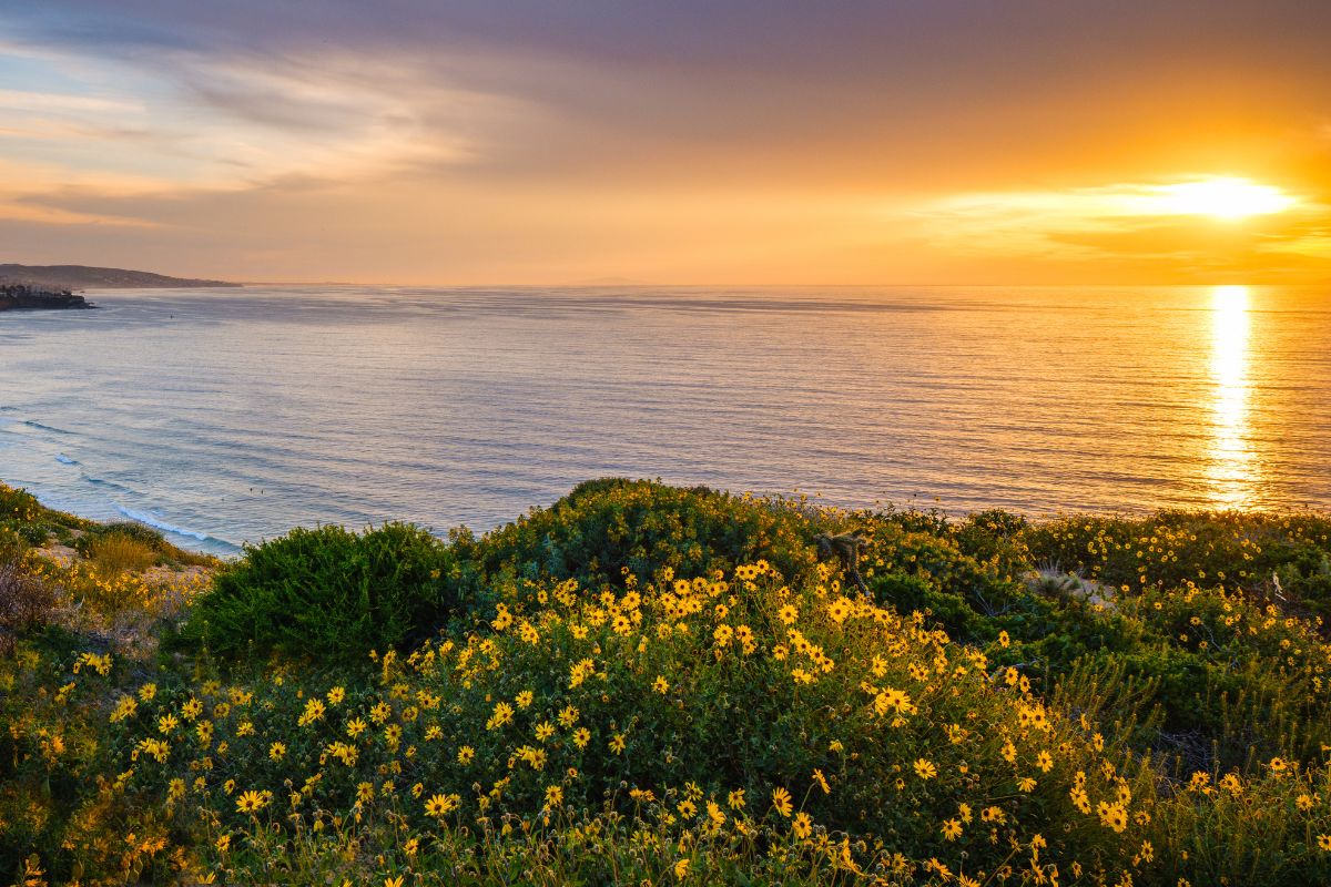 watching the sunset while couples camping at dana point california